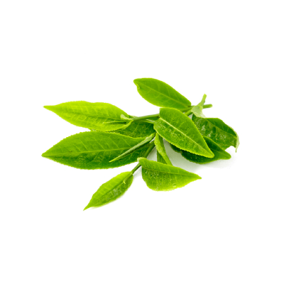 Olive-SPA-aloe-vera-gel-03